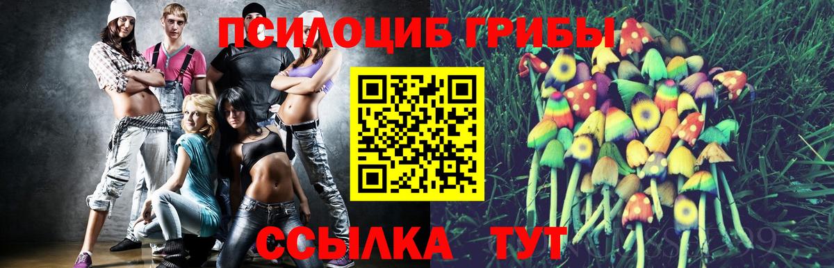 Галлюциногенные грибы прущие грибы  Вход с VPN  Костомукша 